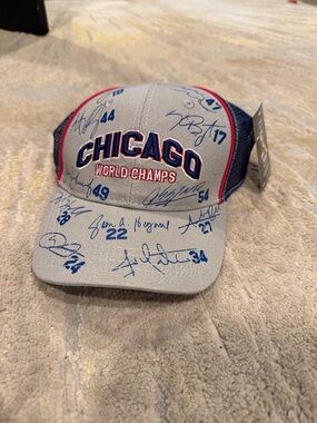 Chicago Cubs World Champs AMI Snap Back MLB Adjustable Hat Cap new